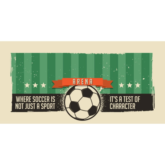 SFCan64C_socman_custarena