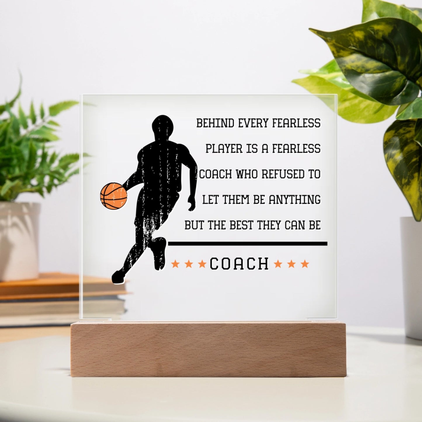 SFPla24C_baskcoach_behindplayer_custom