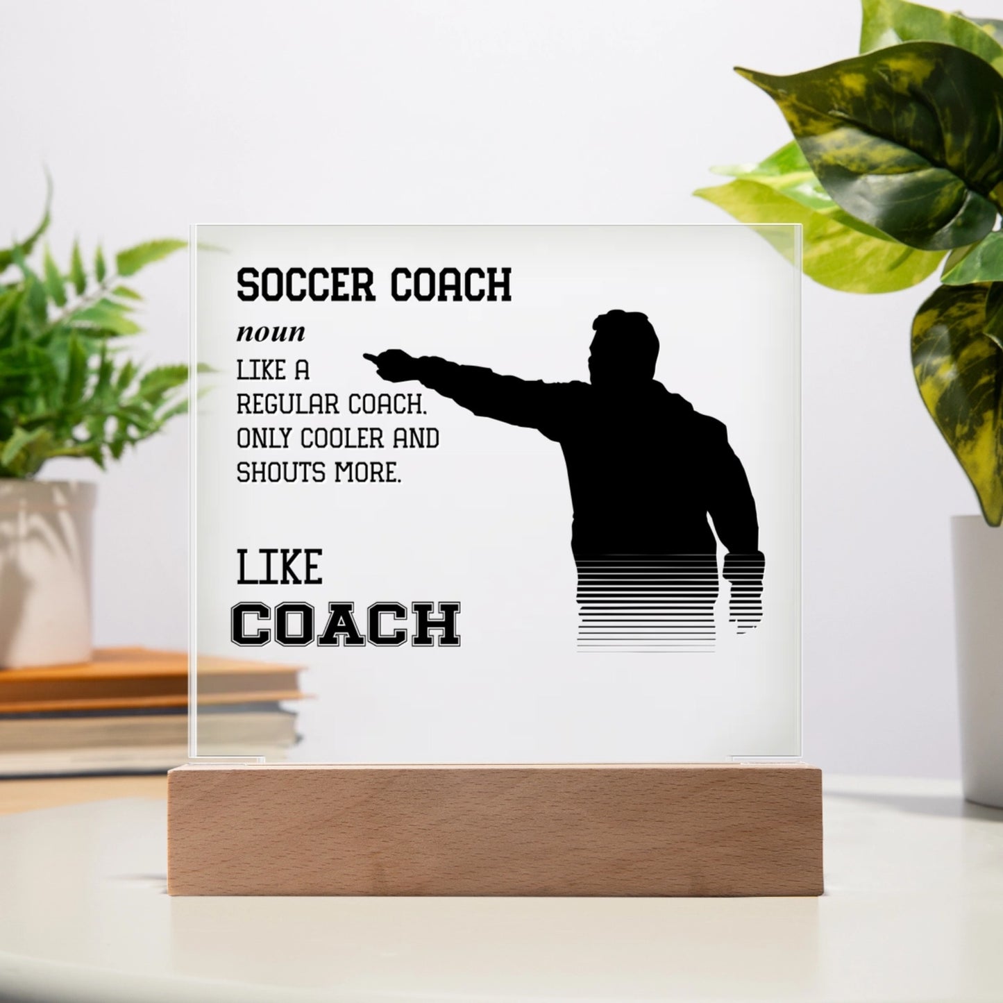 SFPla37C_soccoach_definition_custom